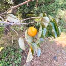 화도로53번길 8 | 인천 강화도 화도돈대 강화나들길 2코스 호국돈대길 강화 갈만한곳