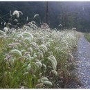 가을동화펜션 이미지