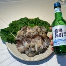 전망대수산 이미지