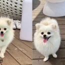 투썸플레이스 옥천점 이미지