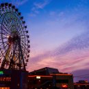 지노카서비스 | 오키나와 북부 투어 뚜벅이 혼자 다녀온 찐 후기 (만좌모부터 츄라우미까지)