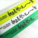 차오름 합기도 이미지