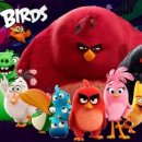 국가대표탑태권도장 이미지