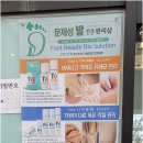 손에핀꽃 이미지