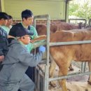 한우연구소 이미지