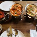 타지펠리스 이미지