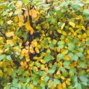 영화로 배우는 영어 이미지