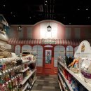 동화나라 애견 이미지