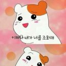 이-사람 이미지
