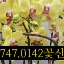 우진화원
