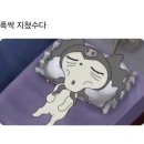나 사학년이다 내 말 잘 들어라!!
