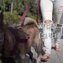 살롱H 이미지