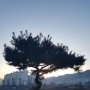 너브내길_2 이미지