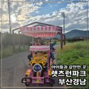 에코랜드수영장 축구장 | 렛츠런파크 무료입장권 부산경남 경마공원 가족나들이 이용 정보 꿀팁