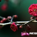 (주)제주아침