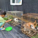 소민농장 이미지