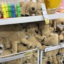 이케아 팝업!ㅎㅎ 이미지