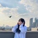 까마귀 필름 이미지