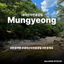 숲속의 계곡 | 문경여행 대야산자연휴양림 용추계곡 숲속의집 내돈내산 후기