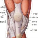 1RM 휘트니스 이미지