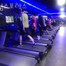 킹덤스포렉스 | 명지동헬스장 강서헬스 PT 피티 킹덤스포렉스 가격 위치 소개