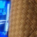 일파만파농장 | 뉴질랜드 한인 좋소 면접 후기