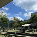 북문로2(북) | 10월주간일상_혹시가을병을아세요,메시호산대전신세계점,청주푸에고네그로,청주멜팅타임...