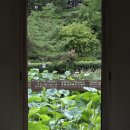 도래한옥(다목적체험관) | 강릉 비오는날에도 좋은 힐링 여행 추천 코스 선교장 후기(연꽃 개화시기 현황, 다식만들기 체험, 한복...