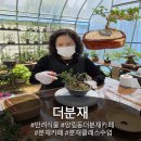 로플하우스 | 나만의 반려식물 원데이클래스 더분재 특별한 추억과 선물 분재 매력에 빠지다~