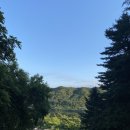 피그멜리온 이펙트 | 춘천펜션 피그멜리온이펙트 후기 (펜션뷰, 바베큐, 스파 등)