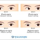 현성상사 네이버블로그