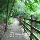 예향의 숲 이미지