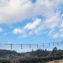 수줍은 언니네 이미지