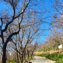 승학산 정상석 | 부산 사하구 승학산 가을산행, 초보가능 억새길 등산코스