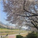 동아 탑플러스 공인중개사사무소 네이버블로그