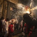 월드오일 이미지