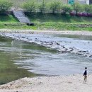 도시산림공원(토리숲) 이미지