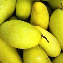 초록망고 이미지