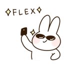 트윈독스 이미지