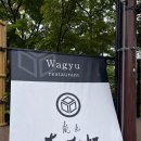 키주 이미지