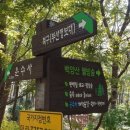 주례편백림 네이버블로그
