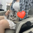 부산 서면 배자매붙임머리 내돈내산 후기