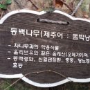 동백마을 이미지