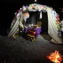 송화로19번길 3 | [인천 강화도]버팔로캠팜캠핑장 잔디+파쇄석 19번 2박3일 후기 명당 사이트 추천