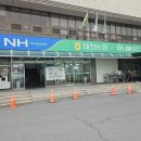 대천농협하나로마트 네이버블로그