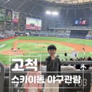 고척산업용품종합상가 | 고척스카이돔 아이와 야구 직관! 고척돔테이블석 2층 명당과 고척돔주차 생각공장구로 꿀팁
