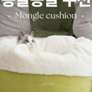 공존스토리