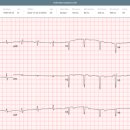 월드의료기기 이미지