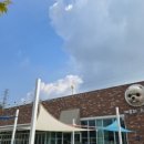 아로하스토리 이미지