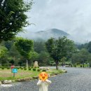 무릉도원면-5 이미지